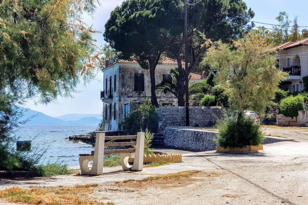Jasmine By The Sea - κάτω γατζέα, πήλιο