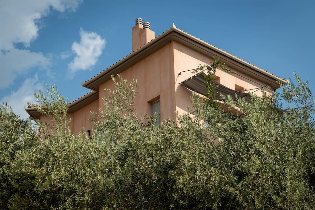 Jasmine By The Sea - κάτω γατζέα, πήλιο Holiday home Kato Gatzea