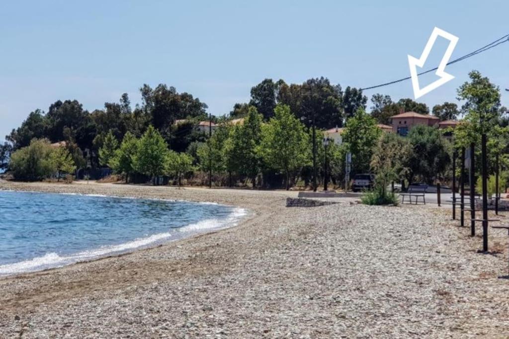 Jasmine By The Sea - κάτω γατζέα, πήλιο Kato Gatzea